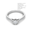 Elysian Pavé Solitaire Diamond Ring